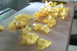 面點類食品輸送帶